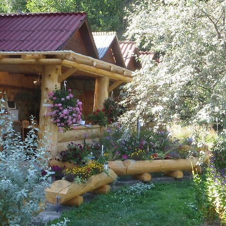 Pensiunea Poiana De Vis Sucevita Luaran gambar
