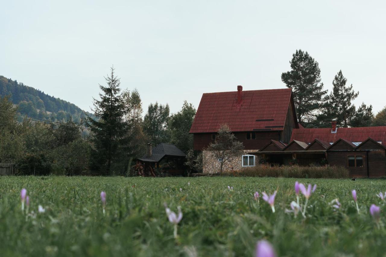 Pensiunea Poiana De Vis Sucevita Luaran gambar
