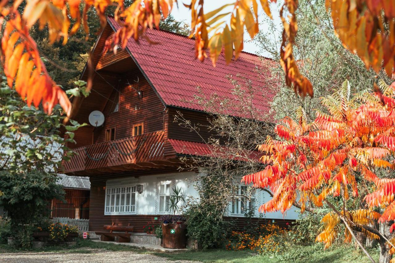 Pensiunea Poiana De Vis Sucevita Luaran gambar
