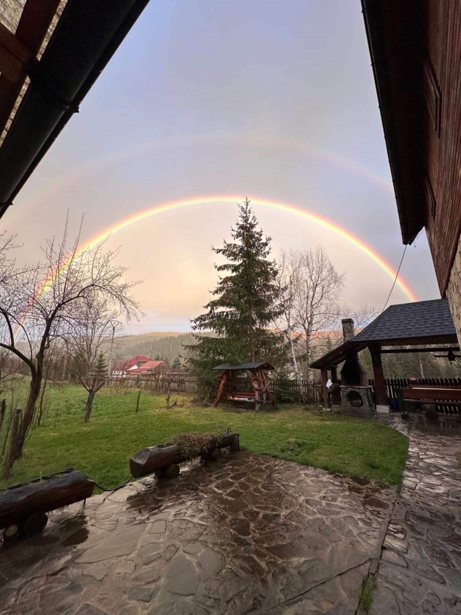 Pensiunea Poiana De Vis Sucevita Luaran gambar