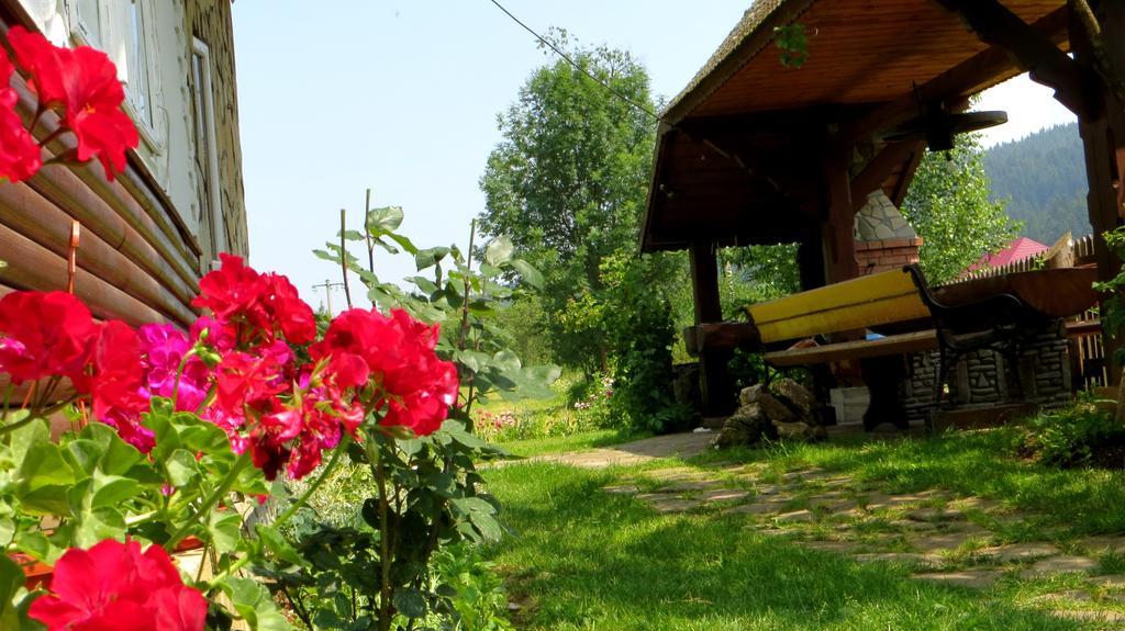 Pensiunea Poiana De Vis Sucevita Luaran gambar