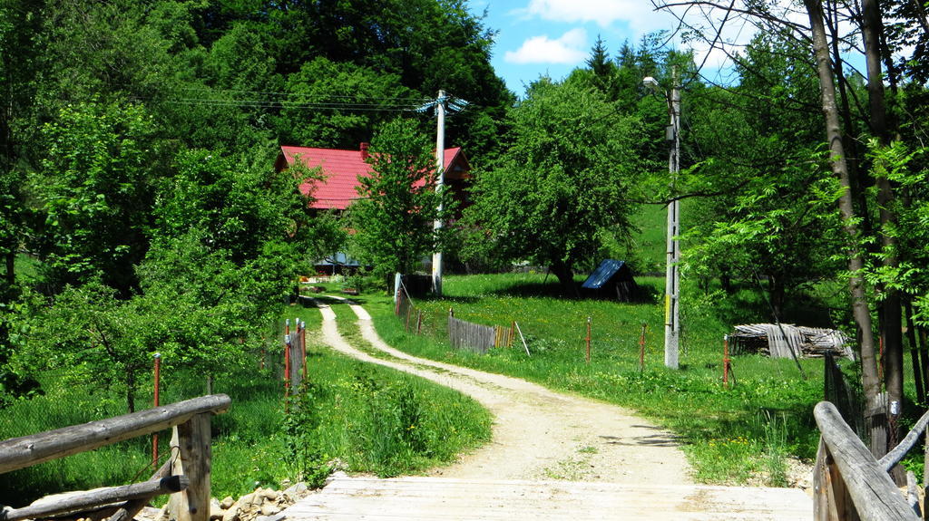 Pensiunea Poiana De Vis Sucevita Luaran gambar