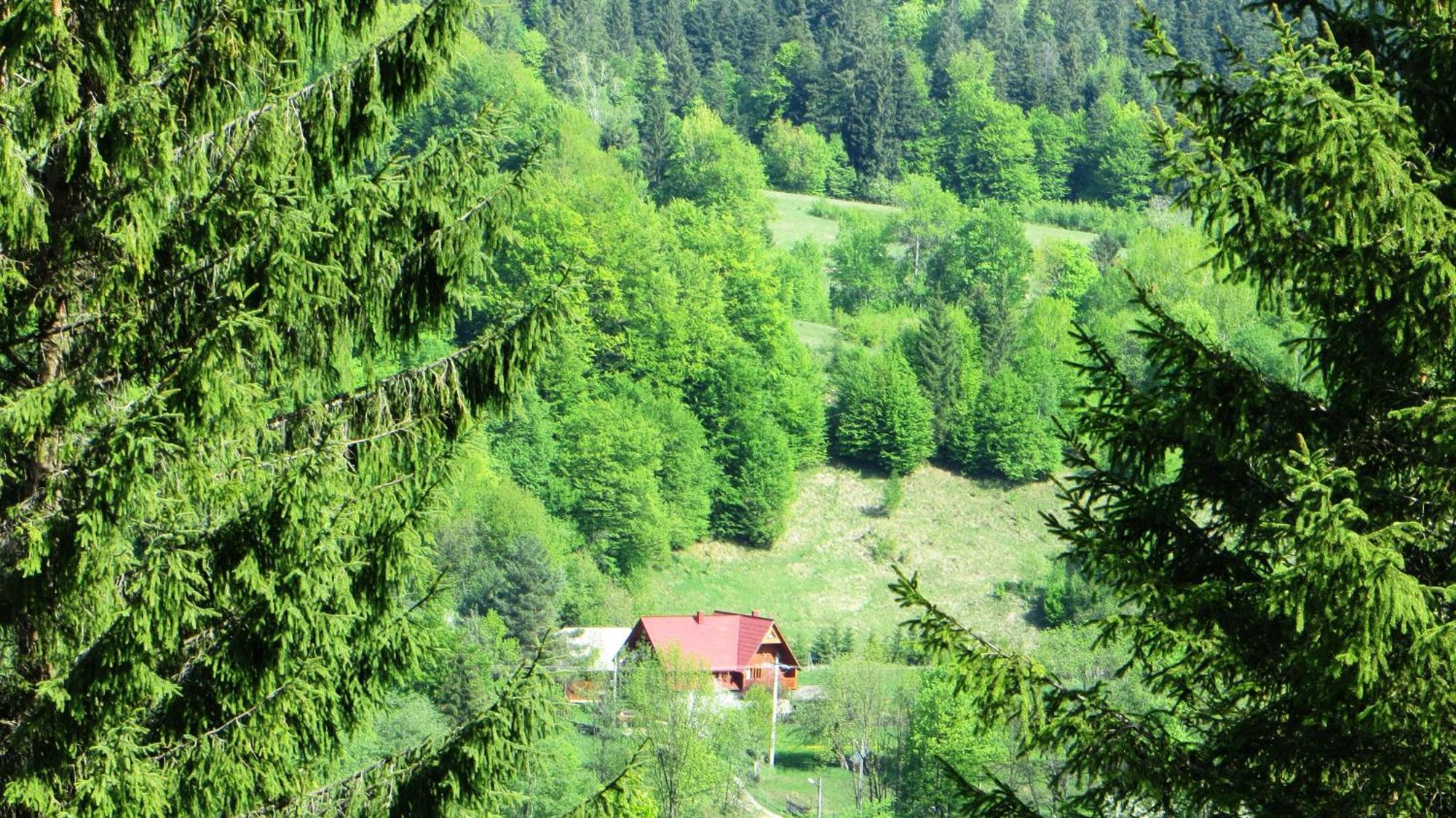 Pensiunea Poiana De Vis Sucevita Luaran gambar
