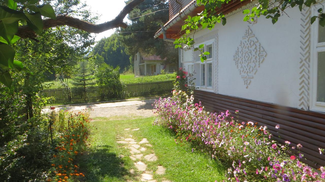 Pensiunea Poiana De Vis Sucevita Luaran gambar