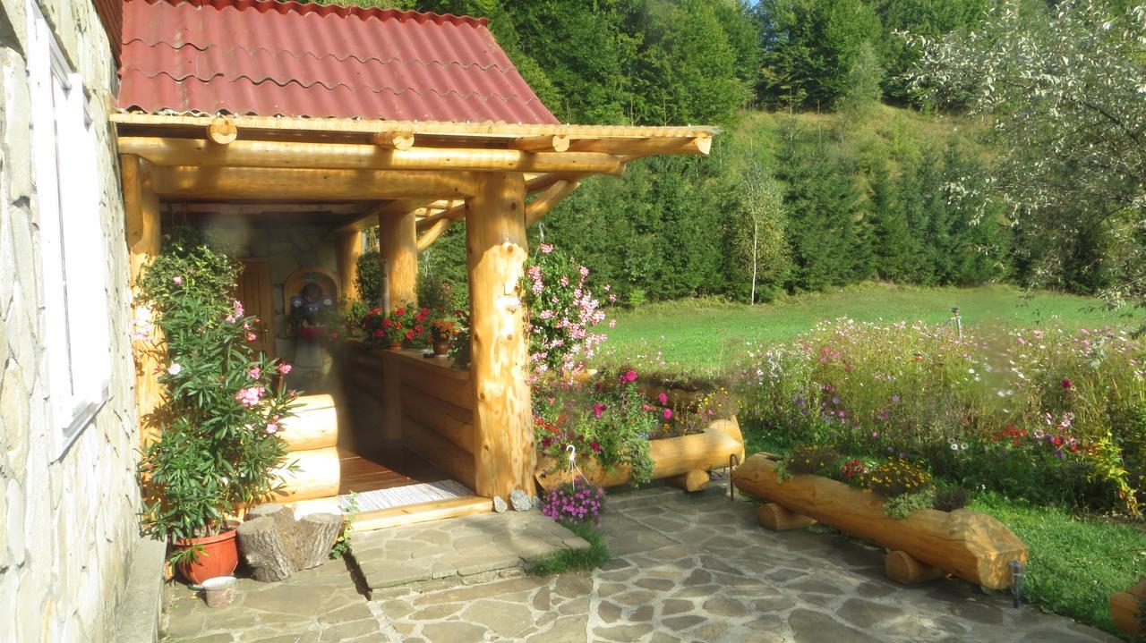 Pensiunea Poiana De Vis Sucevita Luaran gambar
